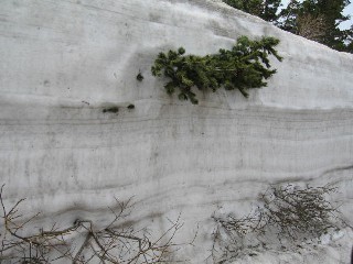 d0034659_23292953.jpg