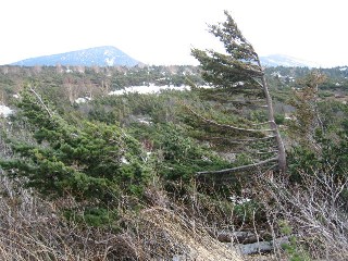d0034659_23363152.jpg