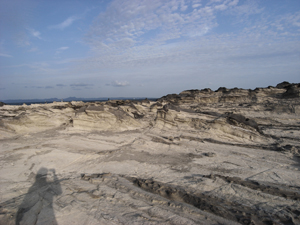 e0177459_17333246.jpg
