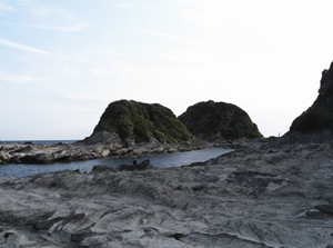e0177459_1734166.jpg
