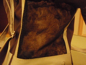 c0135363_1274584.jpg