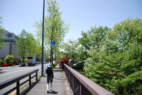 f0016868_21235868.jpg