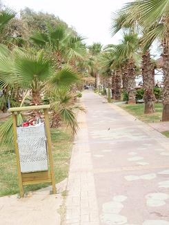 f0140170_22201267.jpg