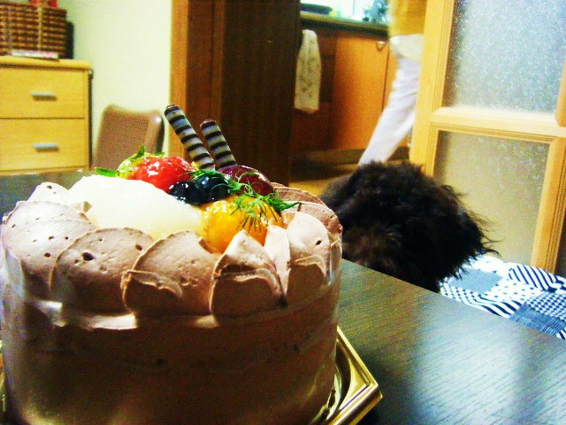 f0207970_85459.jpg