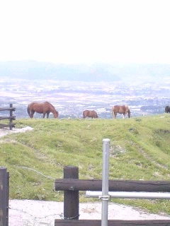 f0173771_2195145.jpg