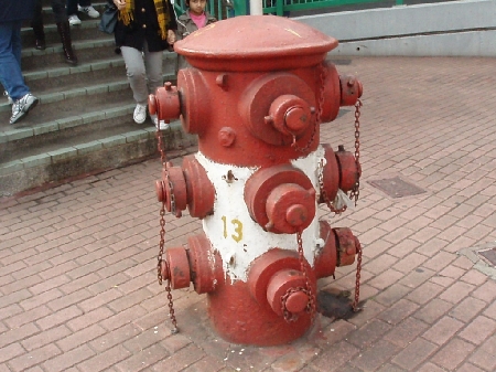 b0092475_20142957.jpg