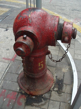 b0092475_2062378.jpg
