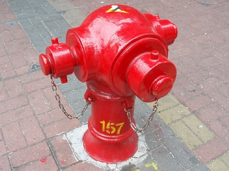 b0092475_2093810.jpg