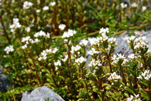 c0151875_21352286.jpg