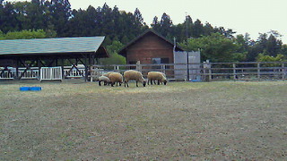b0013080_2248691.jpg