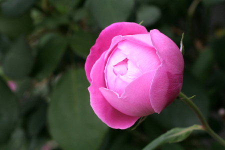 e0154682_22541027.jpg
