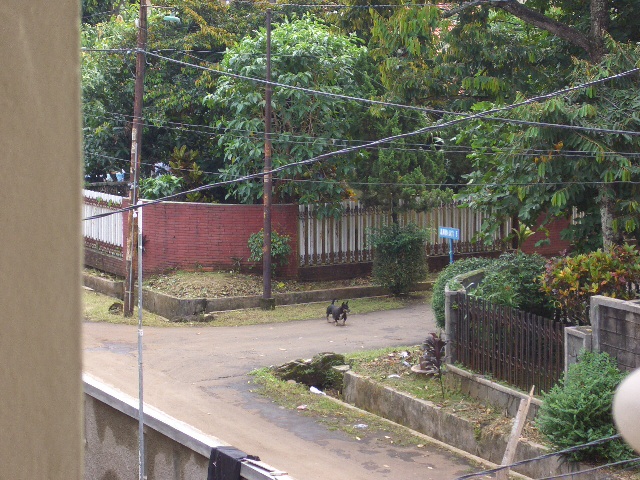 c0175883_15182717.jpg