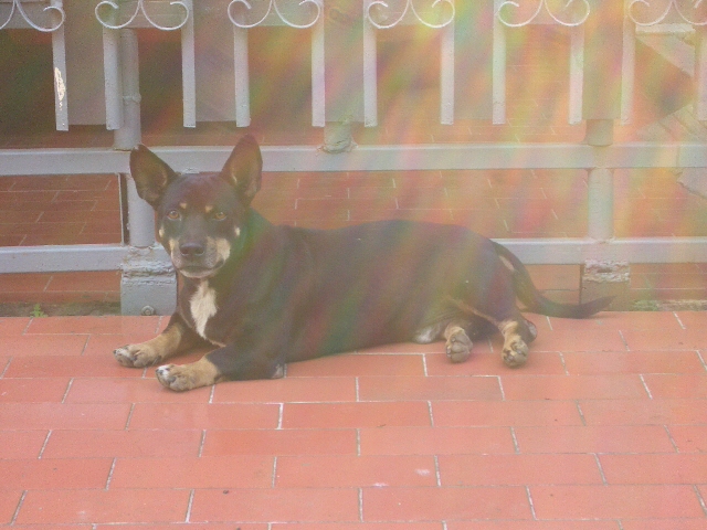 c0175883_15222781.jpg