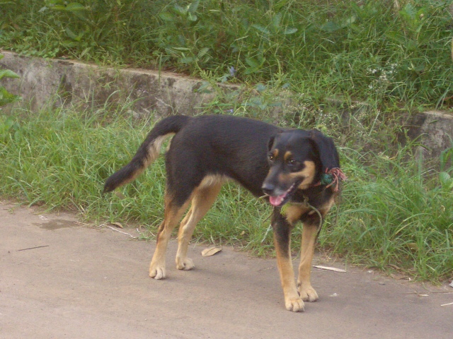 c0175883_1527088.jpg