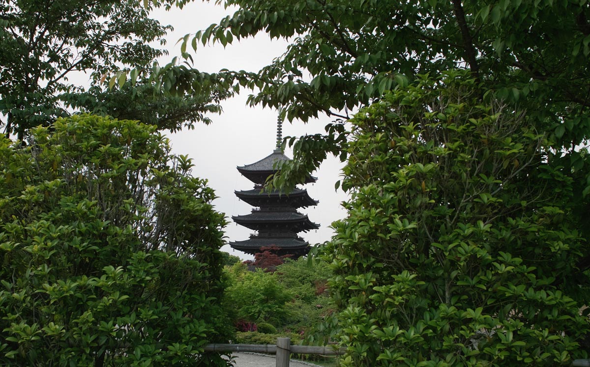b0052286_15334113.jpg