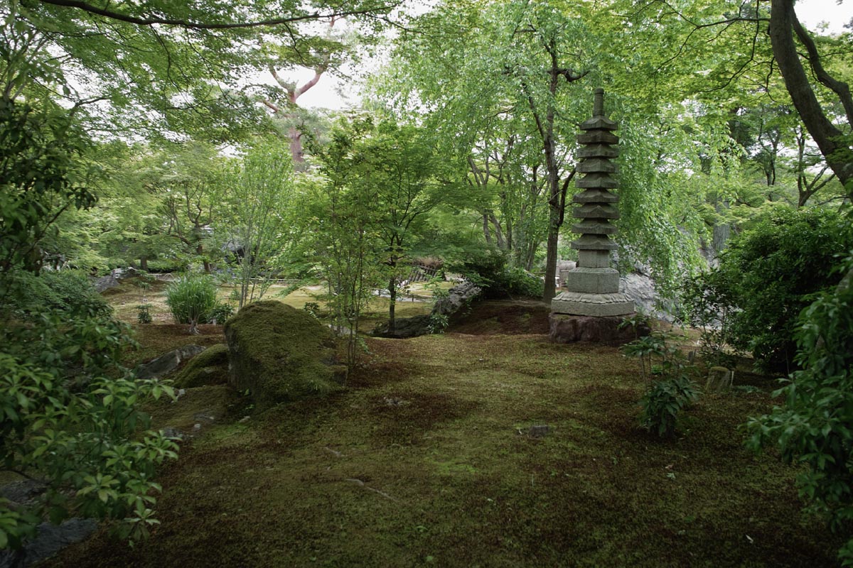 b0052286_15421099.jpg