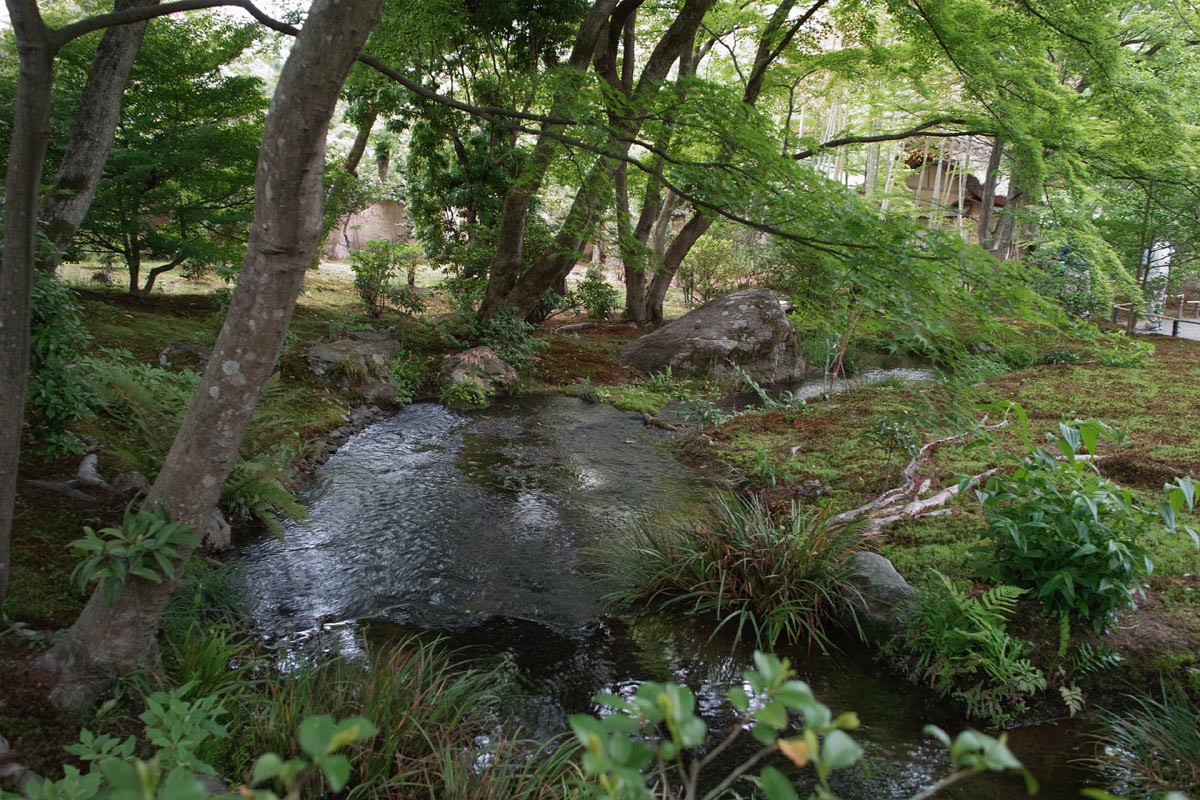 b0052286_15434593.jpg