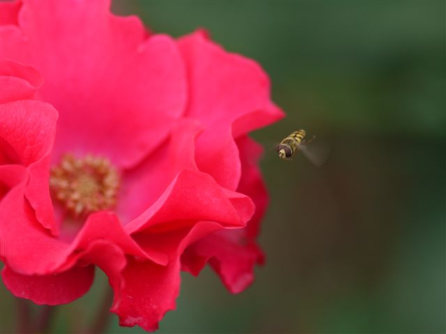b0175688_8561987.jpg