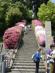 b0128589_8434829.jpg