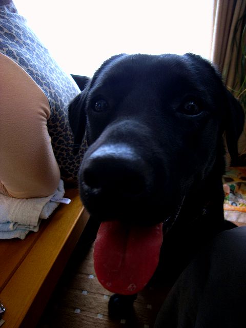 a0093592_6313739.jpg