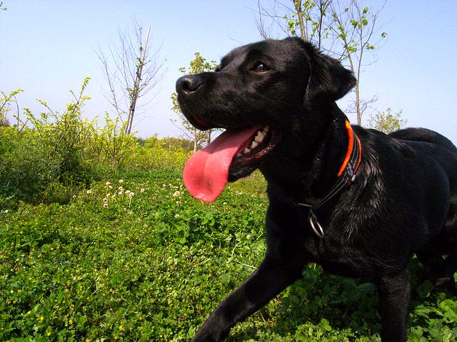 a0093592_7263783.jpg
