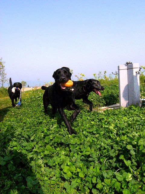 a0093592_730515.jpg