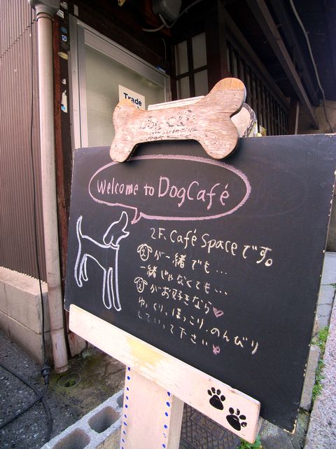 a0093592_7554774.jpg
