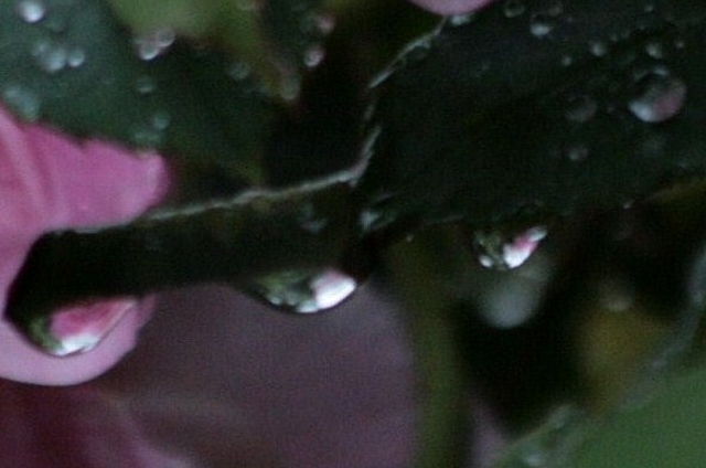 d0133693_10450100.jpg
