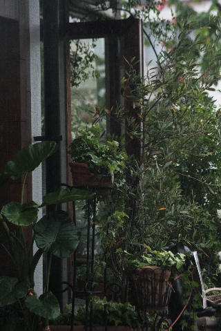 d0133693_22264831.jpg