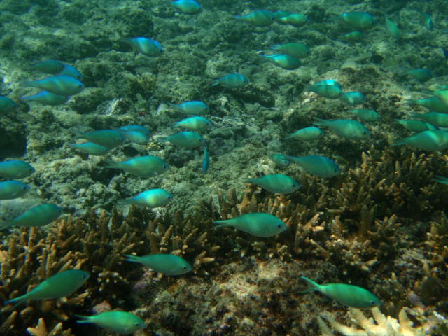 b0048298_9294782.jpg