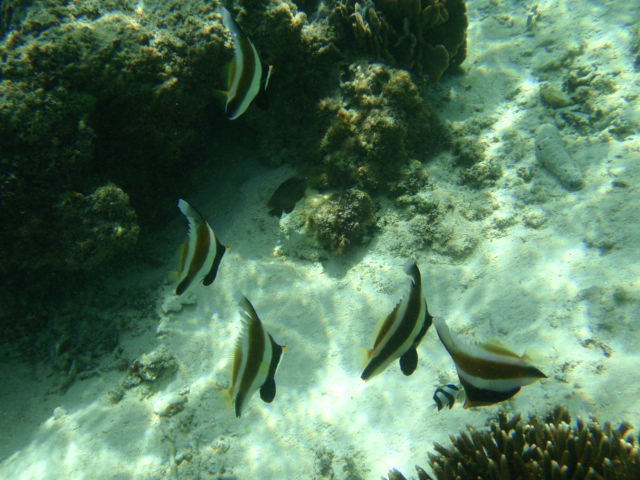 b0048298_9305430.jpg