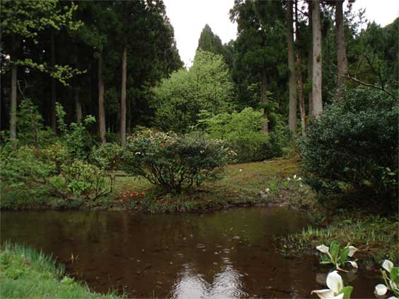a0061599_881736.jpg