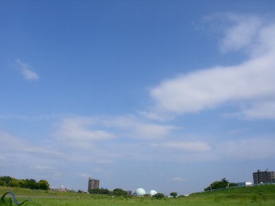 a0031000_23545042.jpg