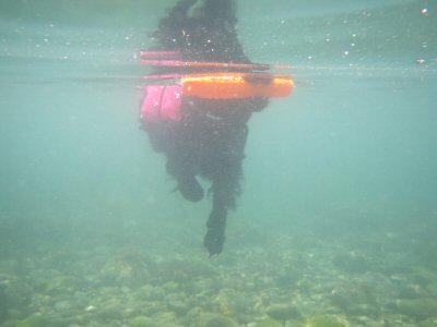 c0050400_1348303.jpg
