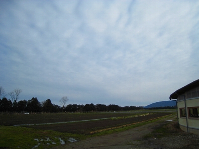 d0121300_1037502.jpg