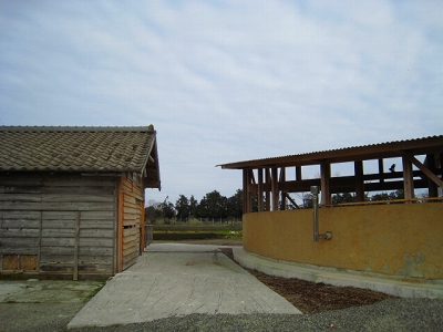 d0121300_1043597.jpg
