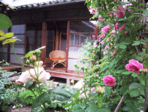 d0077603_10511529.jpg