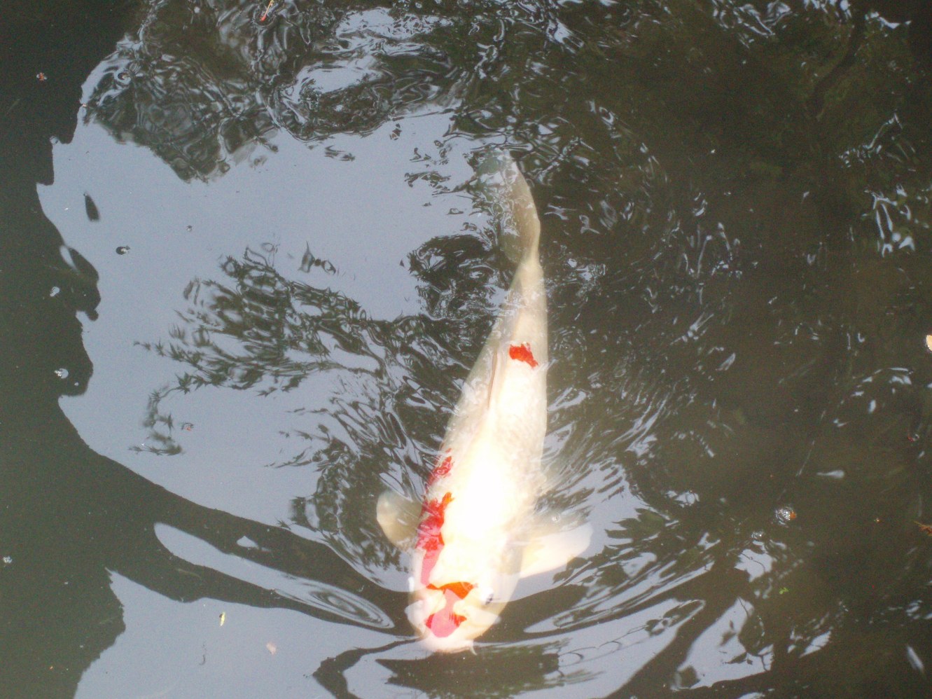 c0098304_224381.jpg