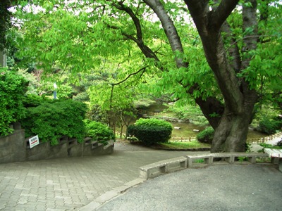 d0018704_22253138.jpg