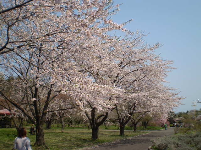 a0100206_2361968.jpg