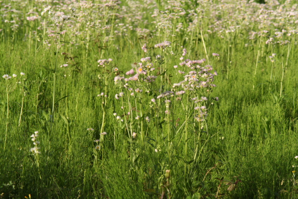 f0186509_222488.jpg