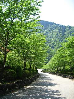 f0130913_1446664.jpg
