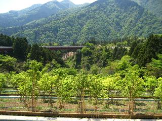 f0130913_14541132.jpg