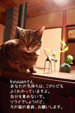 e0156015_10281942.jpg