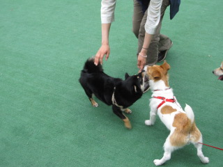 c0185516_14555173.jpg