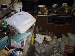 e0091220_19402297.jpg