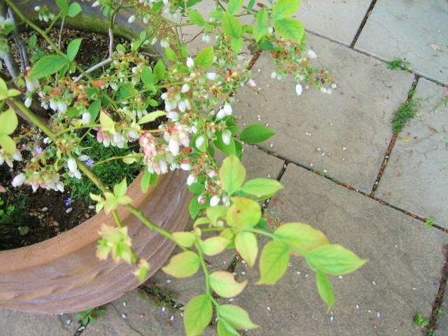 f0031722_23544065.jpg