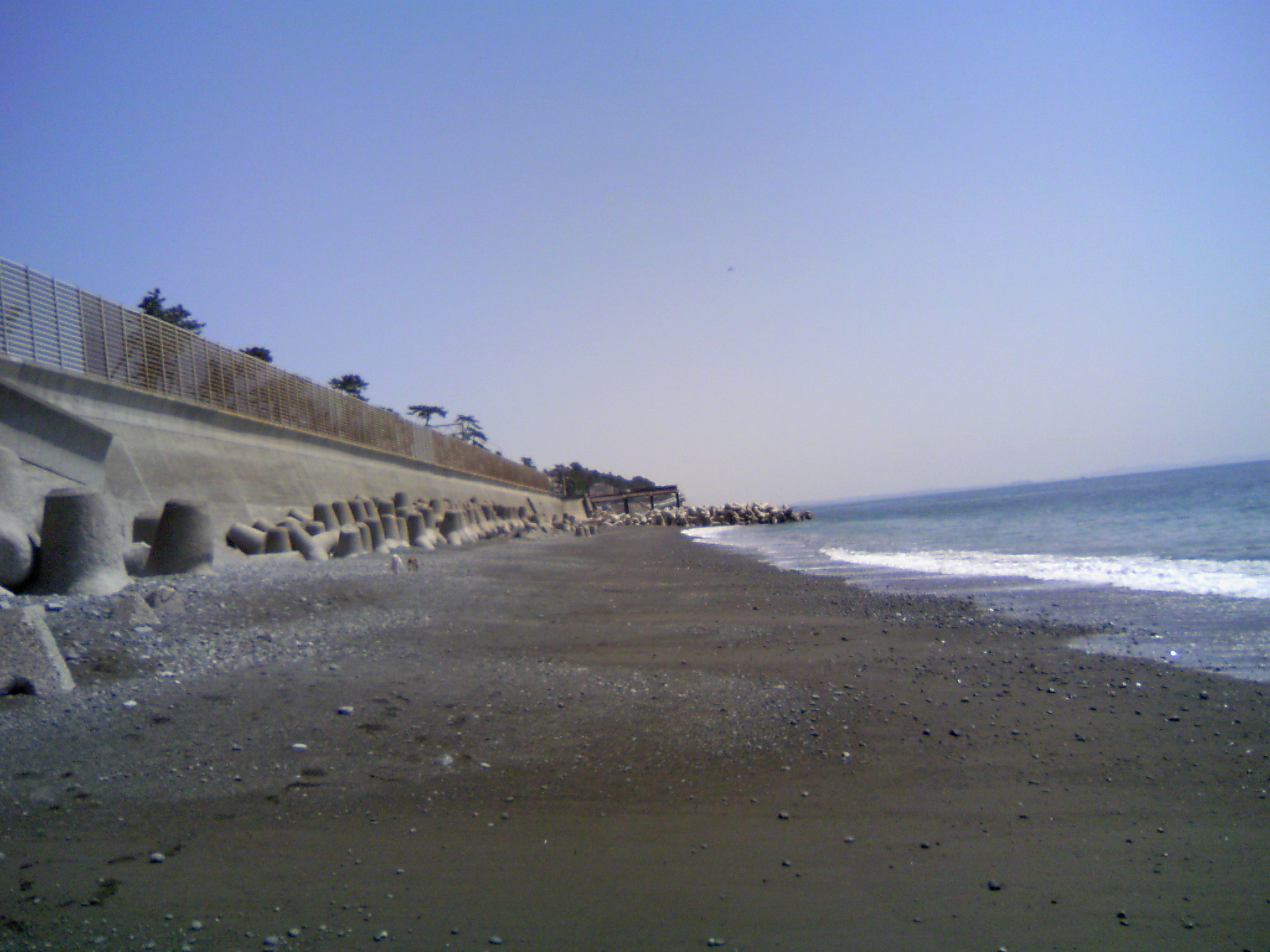 b0118624_238485.jpg