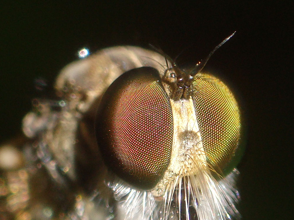 d0089024_1347261.jpg