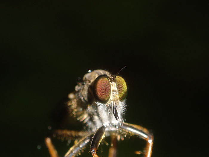 d0089024_13543473.jpg